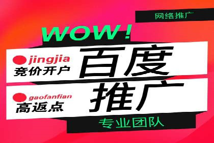 某某企业SEM营销案例解析：SEM在零售行业的成功运用